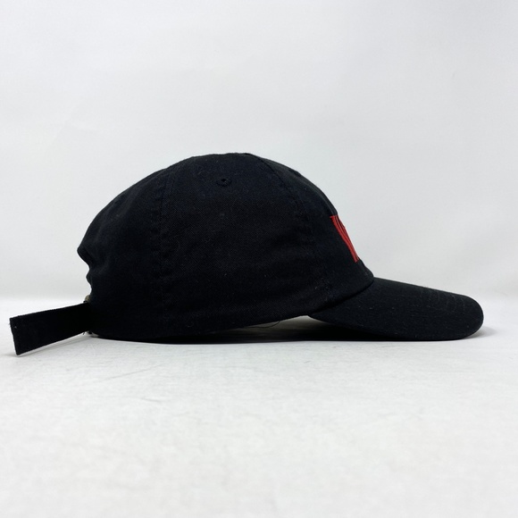 Winston Eagle Slouch Dad Hat Cap Strapback - Picture 5 of 6